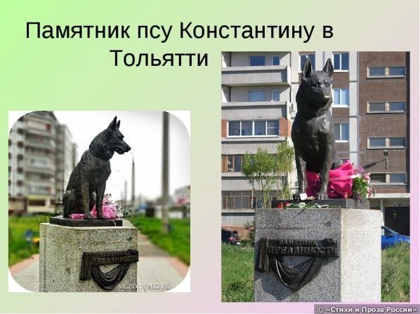 Малька собака