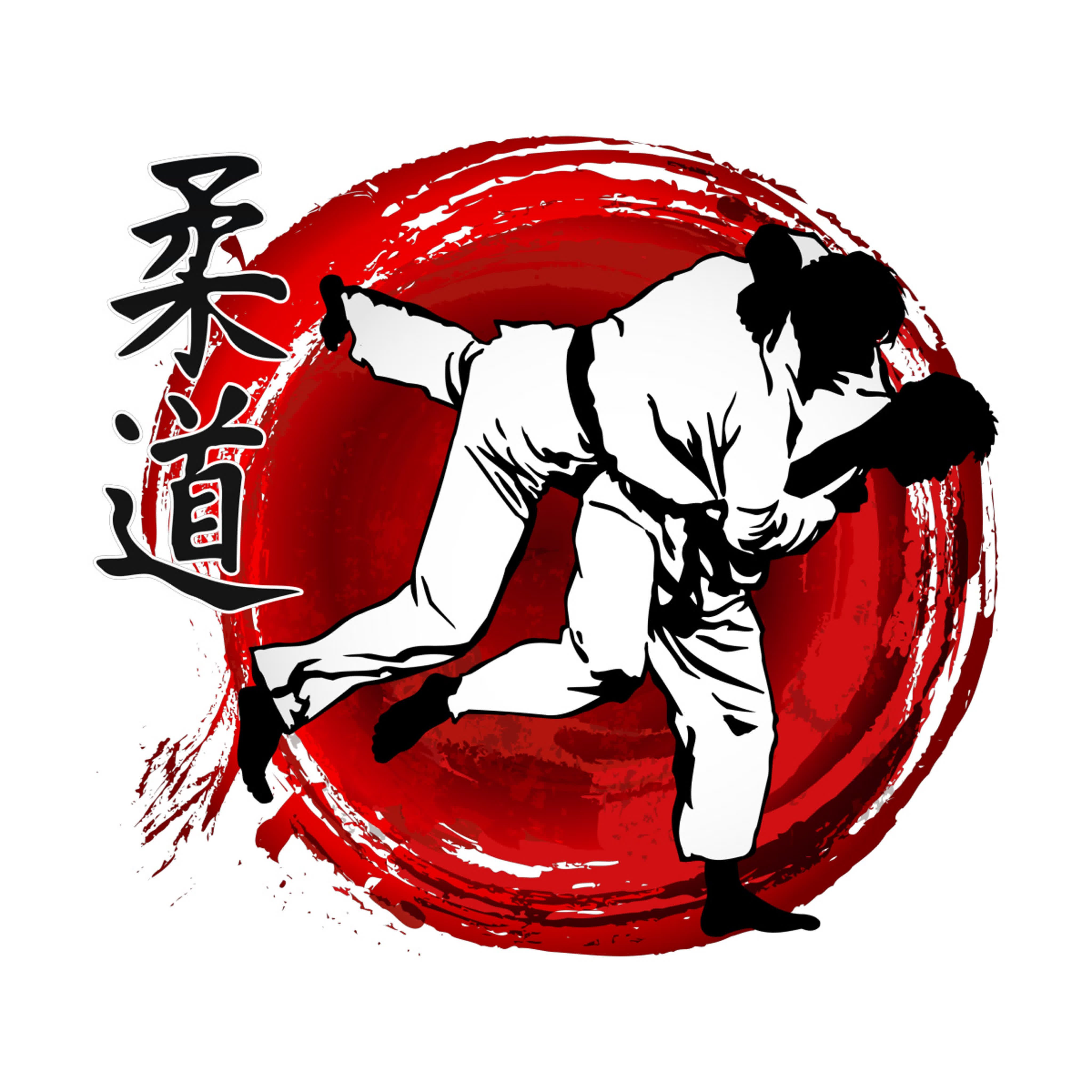 Джиу-джитсу боевые искусства Японии