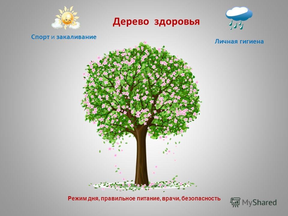 Дерево здоровья в детском саду. Дерево здоровья. Плакат дерево здоровья. Дерево здоровья для дошкольников.