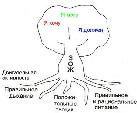 Дерево здоровья в детском саду