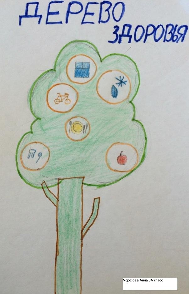 Дерево здоровья в детском саду. Дерево здоровья. Дерево здоровья для дошкольников. ЗОЖ дерево здоровья. Дерево здоровья рисование.