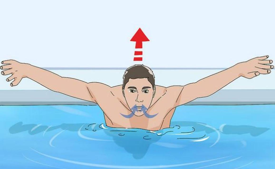Как человек научился плавать по воде. Техника дыхания в плавании. Техника плавания брассом дыхание. Пловец Баттерфляй. Правильная техника плавания баттерфляем.