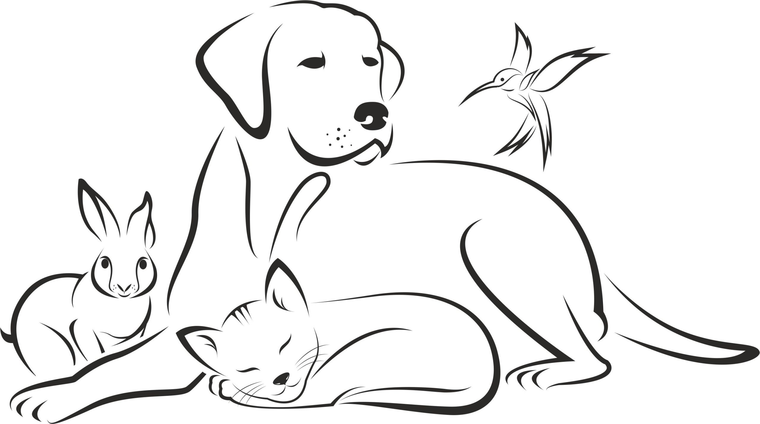 Рисунок кота и собаки вместе