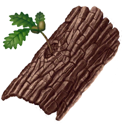 Кусок коры дерева