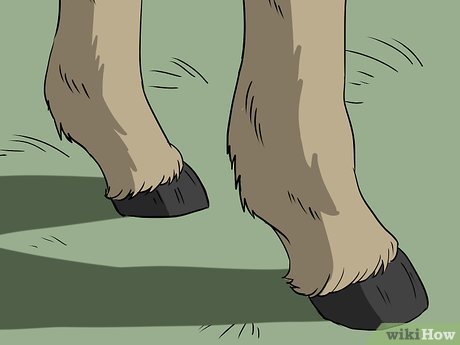 Копыта Козлов референс