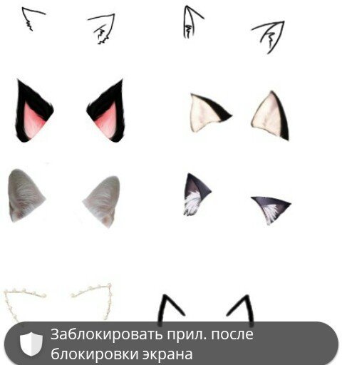 Ушки котика