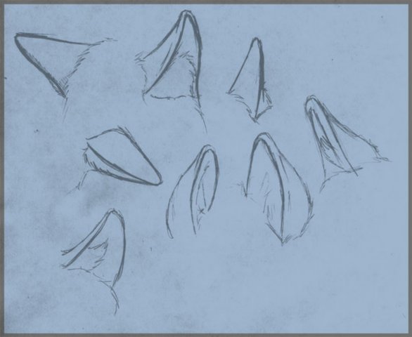 Уши лисы референс