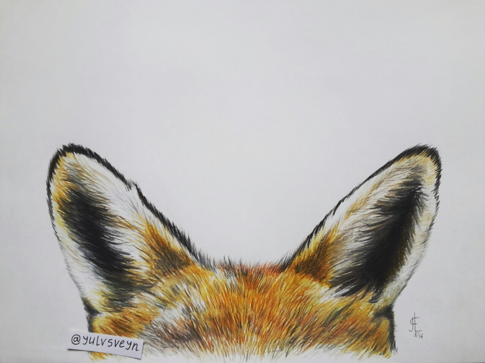 Fox ears drawing