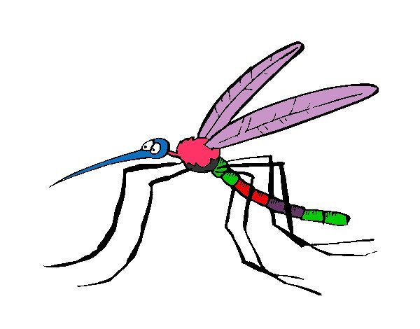 Кузнечик рисунок карандашом