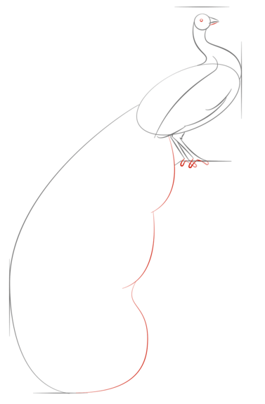 Павлин без хвоста трафарет