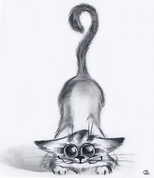 Прикольные коты карандашом
