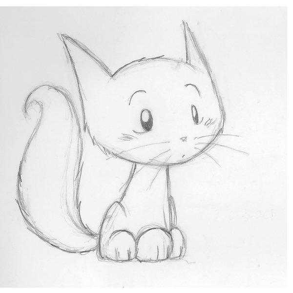 Котики карандашом легко для срисовки