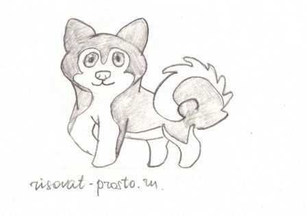 Рисование волчонка поэтапно карандашом для детей