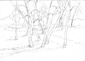 Весенний лес карандашом