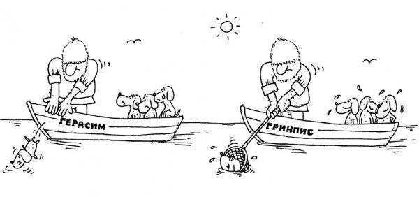 Рисунок ретривера легкий