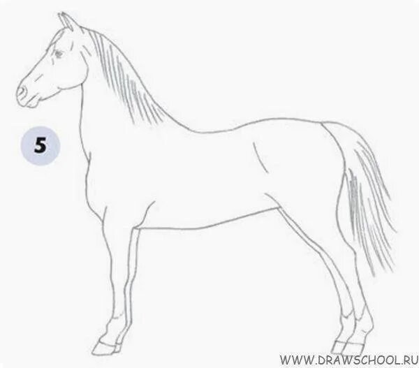 Рисунки карандашом