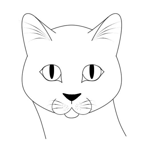 Мордочки кота для срисовывания