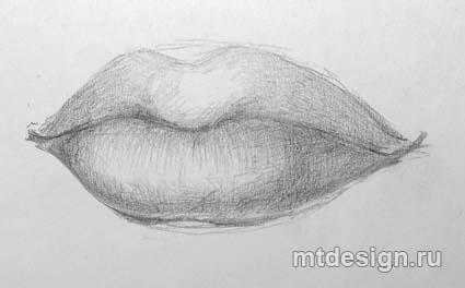 Рисунки с растушевкой лёгкие