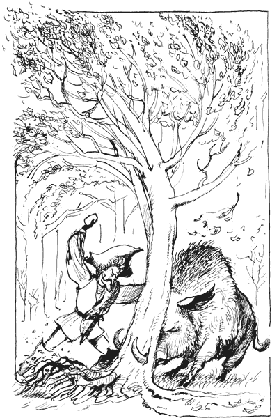 Мюнхгаузен и дикий кабан