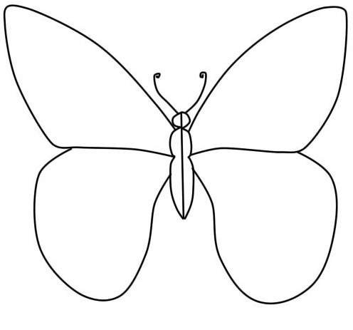 Бабочка карандашом