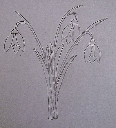 Лёгкие весенние цветы карандашом