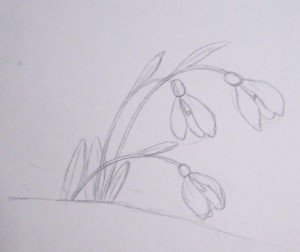 Плакат подснежники рисунок