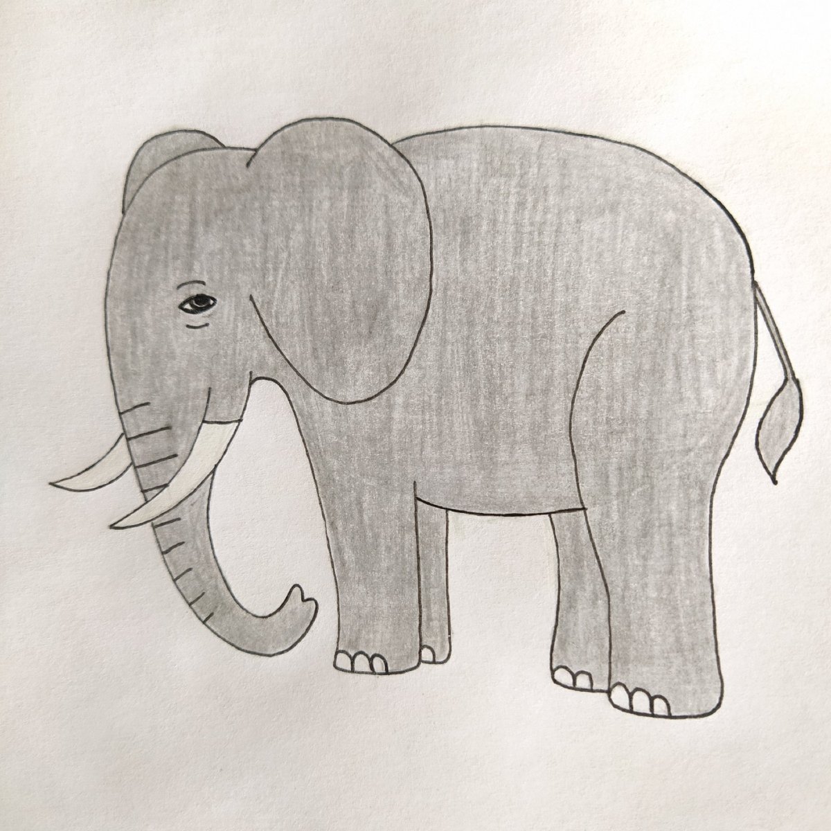 Изо поэтапное рисование слоника 4 класса