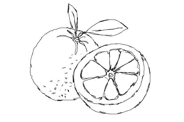 Фрукты контур апельсин