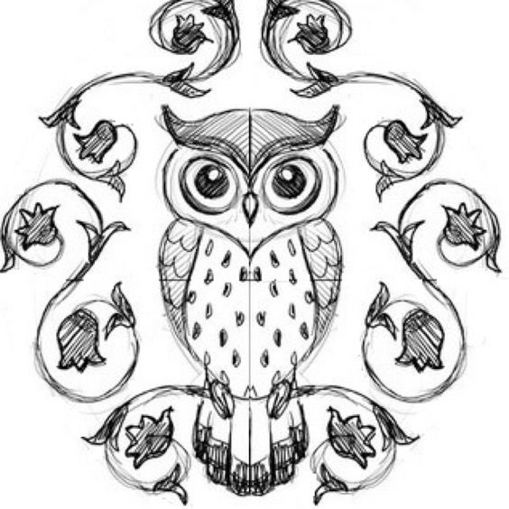 Поэтапное рисование Совы