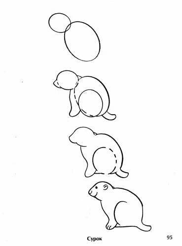 Суслик рисунок