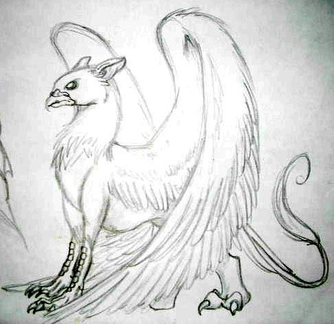 Зарисовки фантастических животных