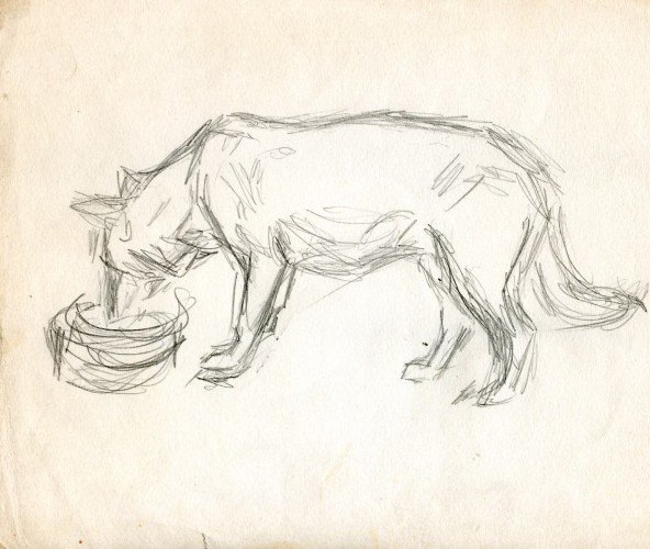 Анималистический Жанр рисунки