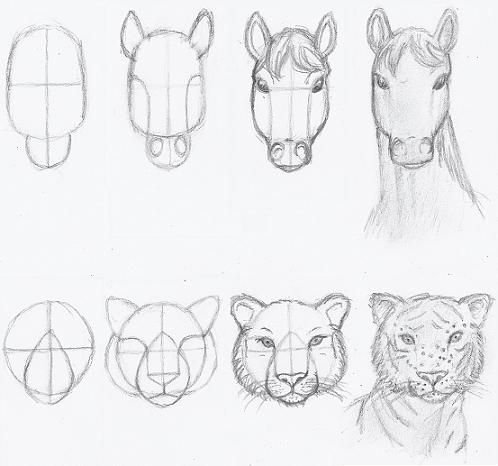 Анималистика рисунки лёгкие