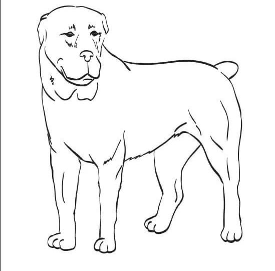 Алабай референс