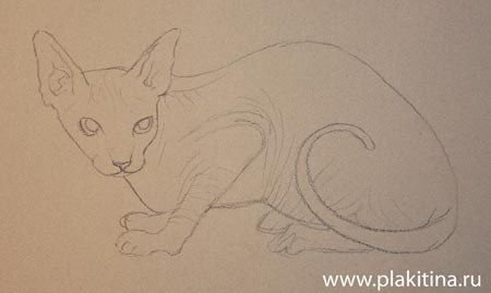 Карандашом рисунки для срисовки легко сфинкс