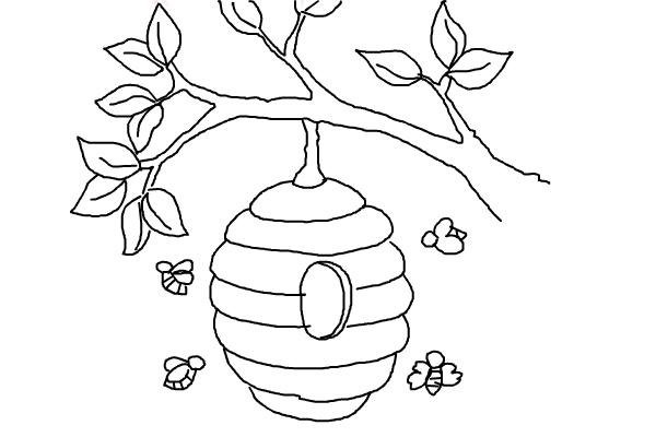 Улей раскраска для детей