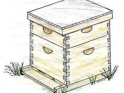 Улей нарисовать