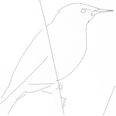 Пошаговое рисование скворец