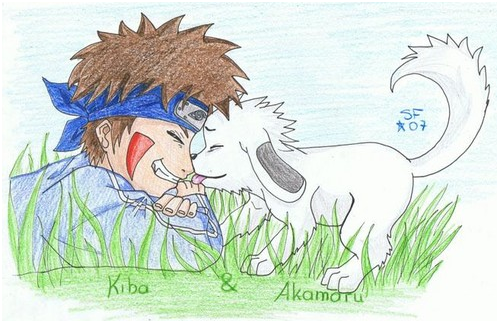 Чиби Киба и Акамару