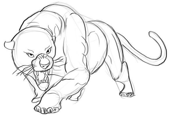 Пантера рисунок карандашом