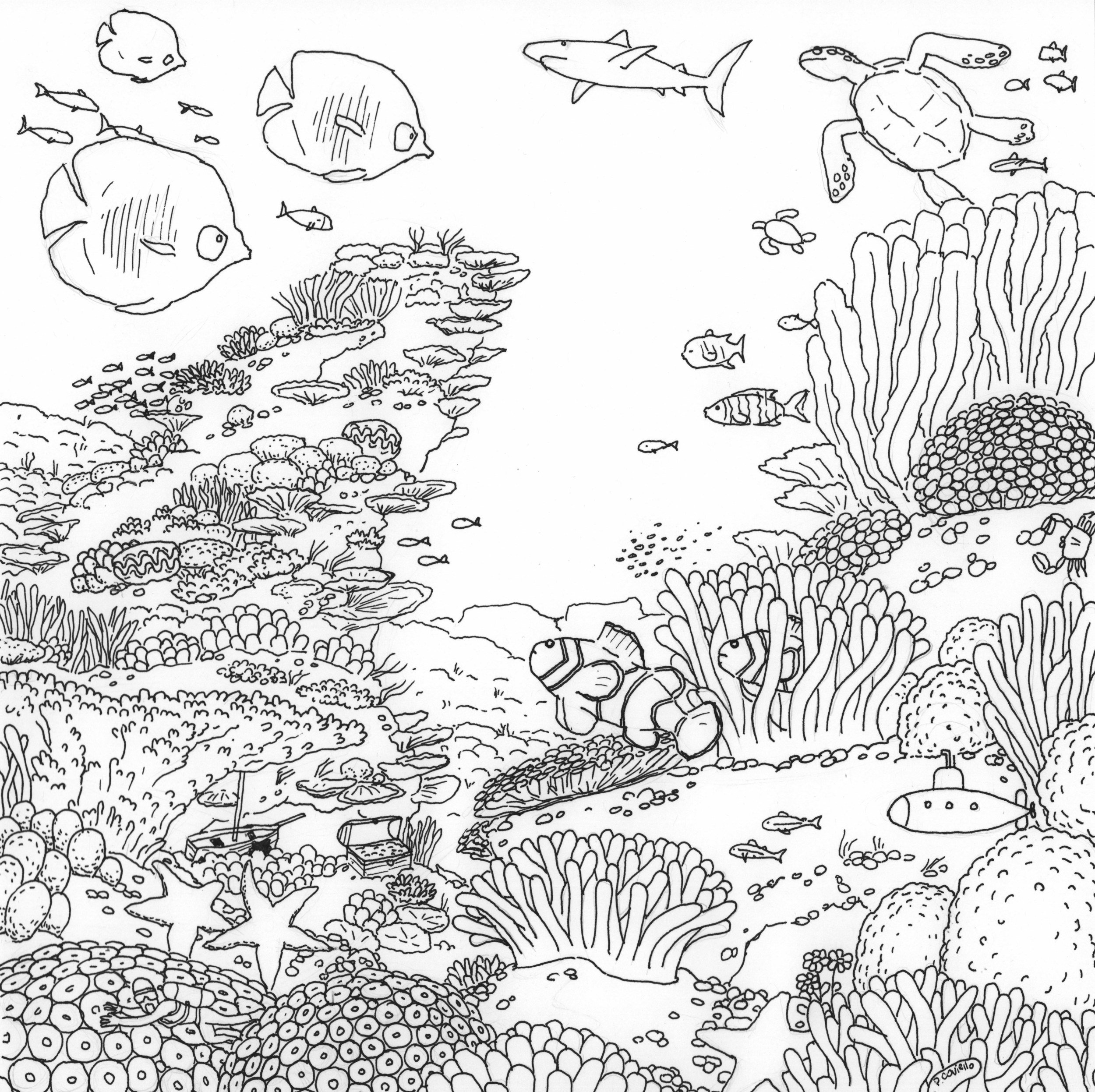 Коралловый риф раскраска для детей