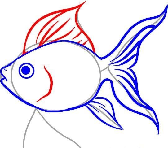 Золотая рыбка рисунок карандашом