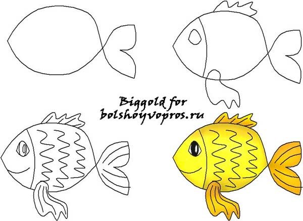 Золотая рыбка поэтапное рисование для детей