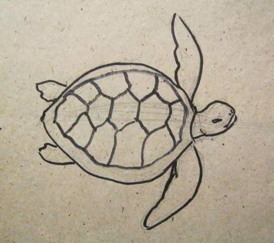 Поэтапное рисование морской черепахи