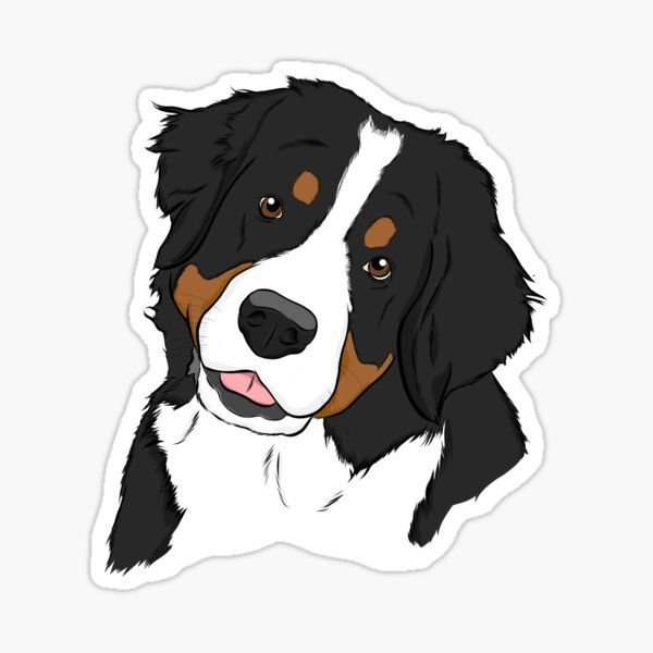 Бернский зенненхунд нарисовать