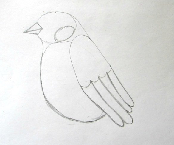 Поэтапное рисование снегиря на ветке