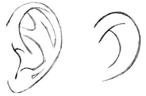 Уши для срисовки легкие