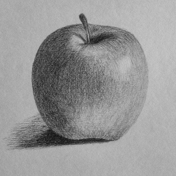 Натюрморт с фруктами карандашом
