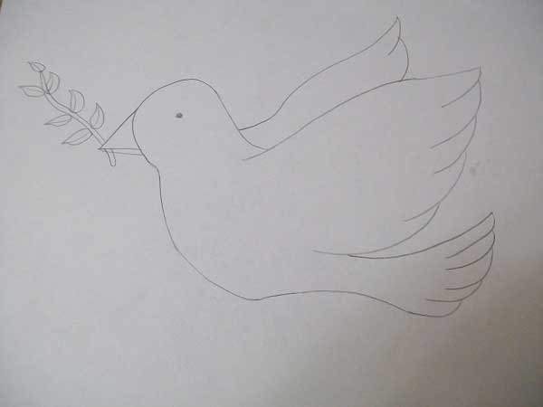 Голубь рисунок карандашом легкий (46 фото)