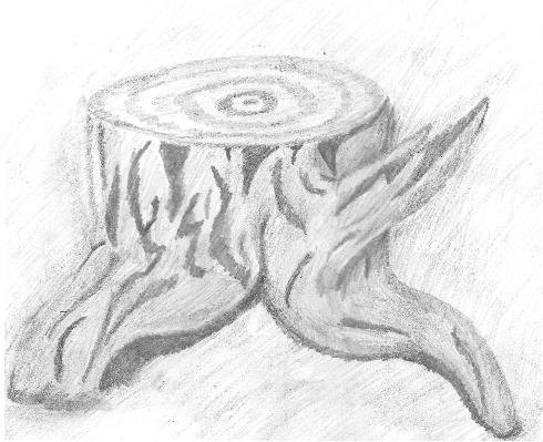 Зарисовка пня карандашом